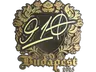 Sticker | 910 (Gold) | Budapest 2025