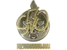 Sticker | 910 (Gold) | Copenhagen 2024