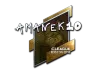 Sticker | AmaNEk (Foil) | Boston 2018
