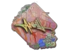 Sticker | ANNIHILATION (Holo) | Rio 2022
