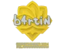 Sticker | b4rtiN | Copenhagen 2024