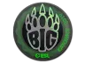 Sticker | BIG (Holo) | Katowice 2019
