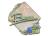 Sticker | Brehze (Holo) | Rio 2022