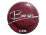 Sticker | Brehze | Katowice 2019