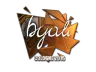 Sticker | byali (Foil) | Cologne 2016