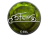 Sticker | felps (Foil) | Katowice 2019