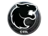 Sticker | FURIA (Foil) | Katowice 2019