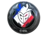 Sticker | G2 Esports (Foil) | Katowice 2019