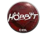 Sticker | Hobbit | Katowice 2019