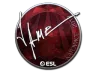 Sticker | Jame (Foil) | Katowice 2019
