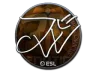 Sticker | JW (Foil) | Katowice 2019