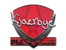Sticker | Kjaerbye | Krakow 2017