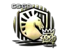 Sticker | Liquid (Gold) | 2020 RMR