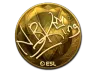 Sticker | NBK- (Gold) | Katowice 2019