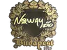 Sticker | noway (Gold) | Budapest 2025