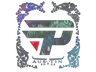 Sticker | paiN Gaming (Holo) | Austin 2025