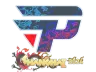 Sticker | paiN Gaming (Holo) | Shanghai 2024