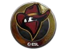 Sticker | Renegades | Katowice 2019