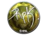 Sticker | RpK (Foil) | Katowice 2019