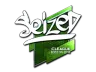 Sticker | seized (Foil) | Boston 2018