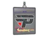 Sticker Slab | paiN Gaming (Glitter) | Shanghai 2024