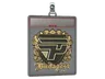Sticker Slab | paiN Gaming (Gold) | Budapest 2025