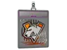 Sticker Slab | Virtus.pro (Foil) | 2020 RMR