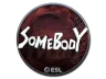 Sticker | somebody (Foil) | Katowice 2019