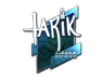 Sticker | tarik (Foil) | Boston 2018