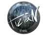 Sticker | tiziaN (Foil) | Katowice 2019