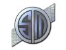 Sticker | TSM Kinguin (Holo) | Katowice 2015