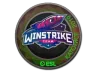 Sticker | Winstrike Team (Holo) | Katowice 2019