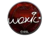 Sticker | woxic (Foil) | Katowice 2019