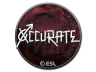 Sticker | xccurate (Foil) | Katowice 2019