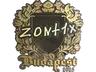 Sticker | zont1x (Gold) | Budapest 2025